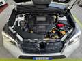 Subaru Forester 2.0d Sport Style lineartronic AWD TAGLIANDI SUBARU Bianco - thumbnail 13