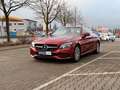 Mercedes-Benz C 220 d Cabrio *Leder *LED *1.Hd Rouge - thumbnail 2