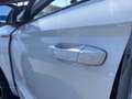 Skoda Karoq 2.0 tdi Sportline 4x4 dsg Bianco - thumbnail 14