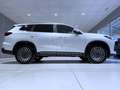 Ebro s800 1.6 TGDI 7DCT Luxury FWD Blanco - thumbnail 12