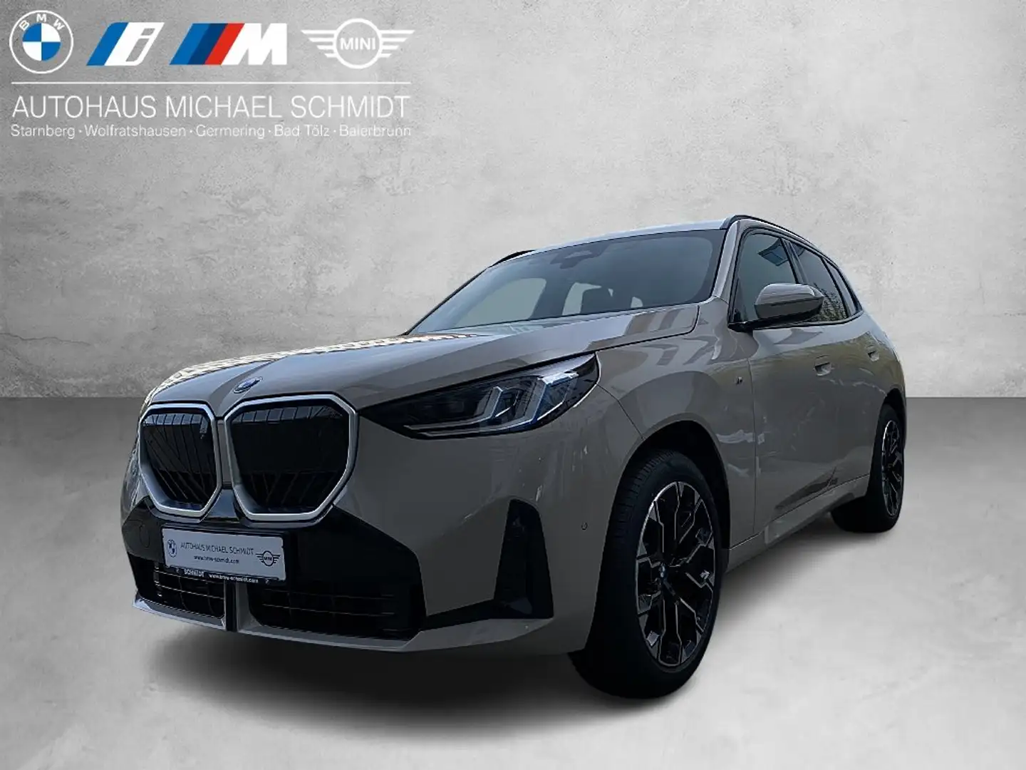 BMW X3 20d xDrive M Sportpaket HK HiFi DAB LED RFK Grau - 1