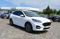 Ford Kuga 2.5 PHEV ST-Line+ AHK Blanc - thumbnail 9