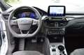 Ford Kuga 2.5 PHEV ST-Line+ AHK Blanc - thumbnail 7