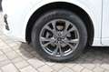 Ford Kuga 2.5 PHEV ST-Line+ AHK Blanc - thumbnail 12