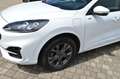 Ford Kuga 2.5 PHEV ST-Line+ AHK Blanc - thumbnail 13
