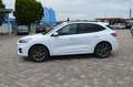 Ford Kuga 2.5 PHEV ST-Line+ AHK Blanc - thumbnail 10
