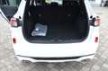 Ford Kuga 2.5 PHEV ST-Line+ AHK Blanc - thumbnail 6