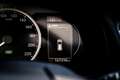 Lexus CT 200h Aut. Business Line I Schuifdak I Alcantara I Navi Grau - thumbnail 13