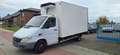 Mercedes-Benz Sprinter 413CDI-FRIGO-CARRIER XERIOS 300 -20° Blanc - thumbnail 1