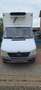 Mercedes-Benz Sprinter 413CDI-FRIGO-CARRIER XERIOS 300 -20° Blanc - thumbnail 2