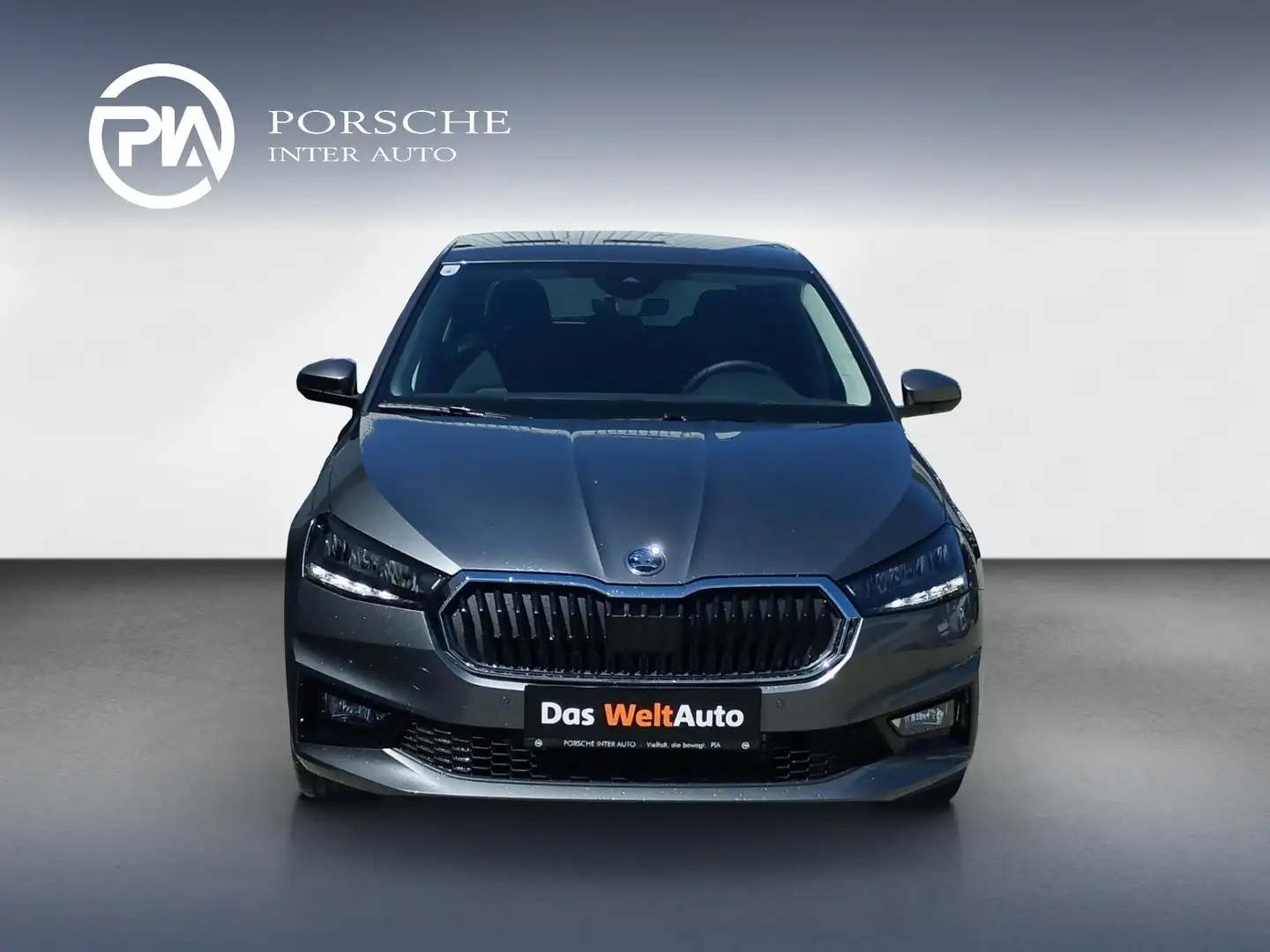 Skoda Fabia Selection TSI Grau - 2