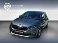 Skoda Fabia Selection TSI Grau - thumbnail 1
