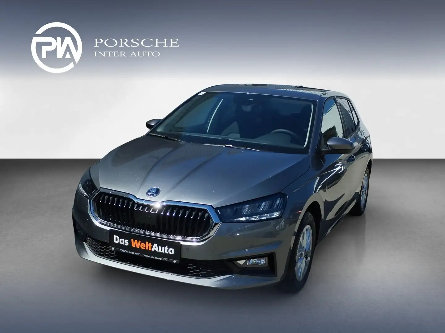 Skoda Fabia Selection TSI Grau - 1