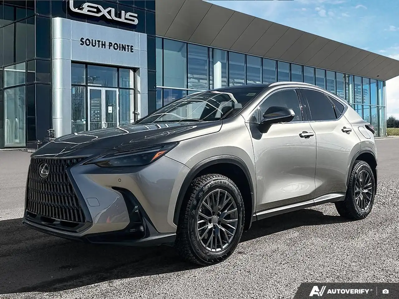 2024 Lexus NX