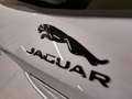 Jaguar F-Pace R-D SE P400e PHEV Aut. | Auto Stahl Wien 23 srebrna - thumbnail 15
