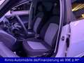 SEAT Ibiza Lim. Reference Salsa Klimaanlage 4/5 Türer Blanc - thumbnail 12