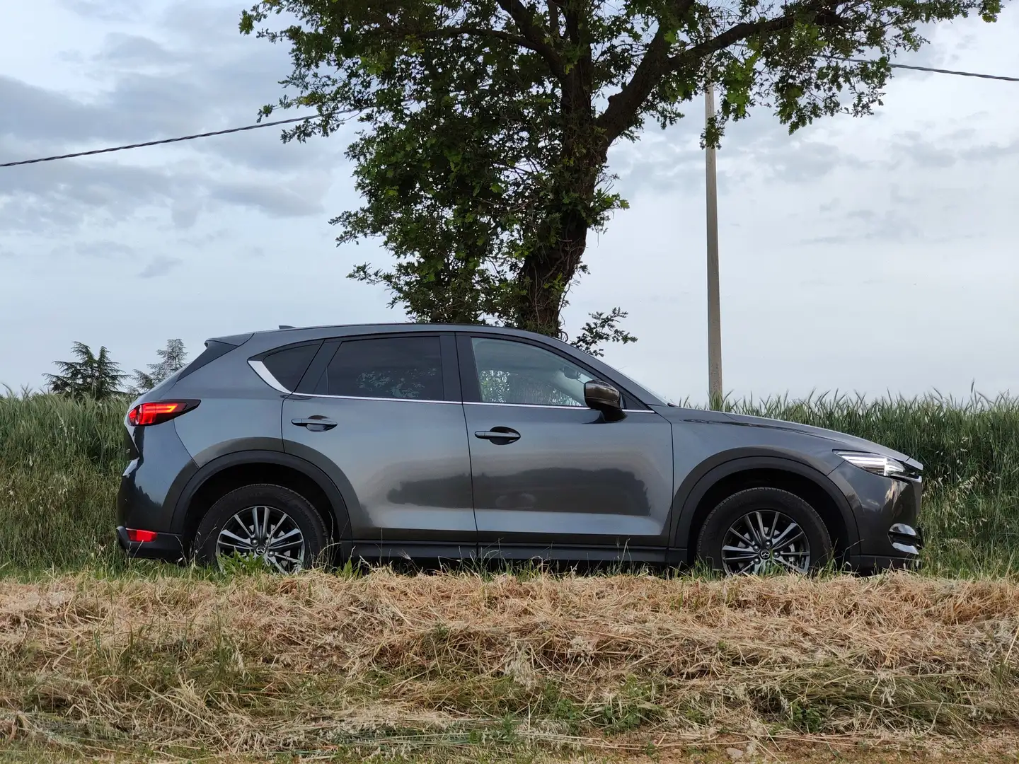 Mazda CX-5 CX-5 2.2 Evolve 2wd 150cv Grigio - 2