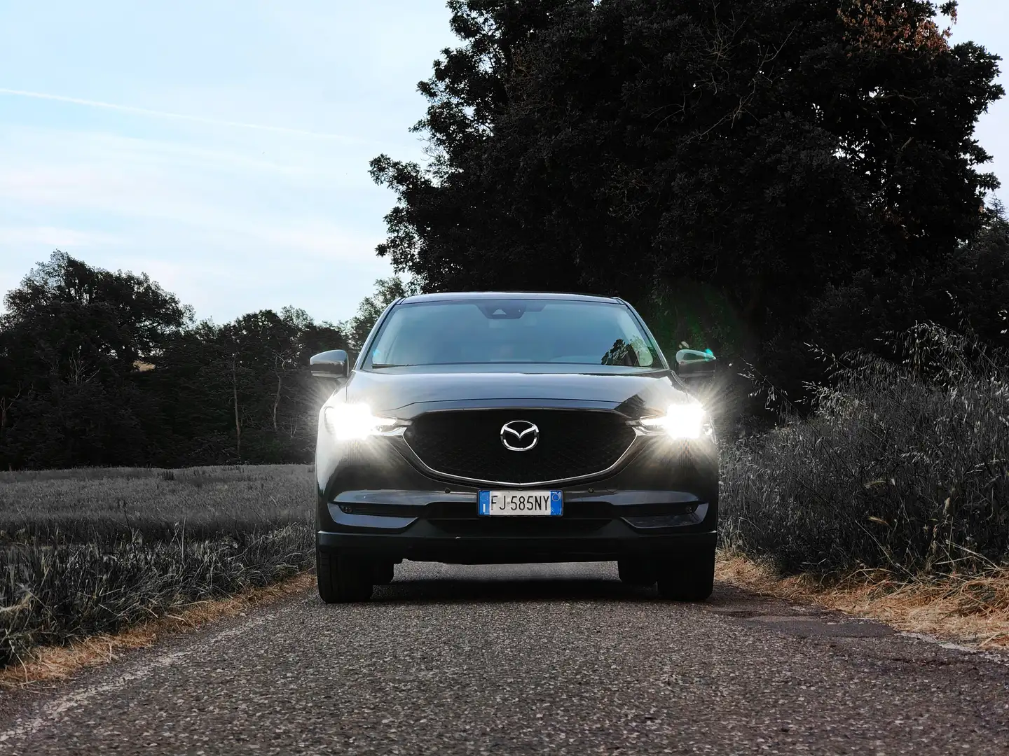 Mazda CX-5 CX-5 2.2 Evolve 2wd 150cv Grigio - 1
