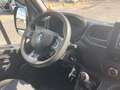 Renault Master 145 DCI - CELLA FRIGO CON PARATIA INTERNA Bianco - thumbnail 14