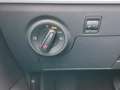 SEAT Ibiza IBIZA STYLE EDITION 1.0 TSI DSG SITZH. FULL-LINK Grau - thumbnail 15