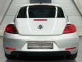 Volkswagen Beetle 2.0 TDI DSG *Sport*Leder*Xenon*Navi* Argent - thumbnail 9