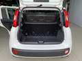 Fiat Panda 1.2 Easy s Blanc - thumbnail 15