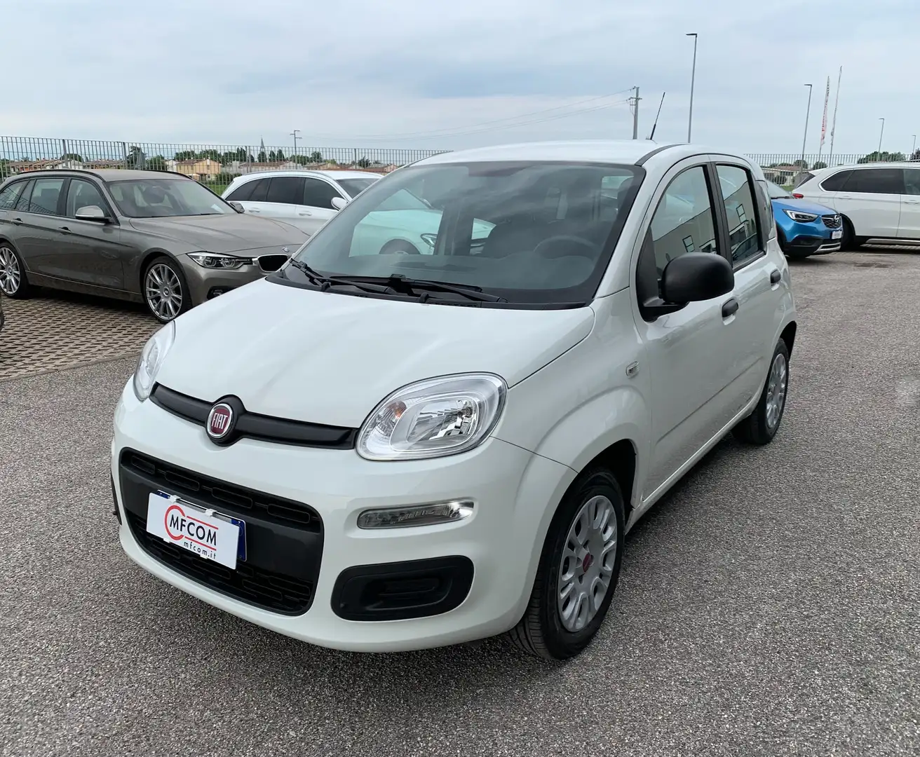 Fiat Panda 1.2 Easy s Bianco - 1