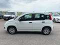 Fiat Panda 1.2 Easy s Blanc - thumbnail 8