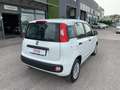 Fiat Panda 1.2 Easy s Blanc - thumbnail 5