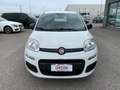 Fiat Panda 1.2 Easy s Blanc - thumbnail 2