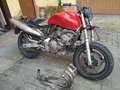 Honda Hornet Rood - thumbnail 5