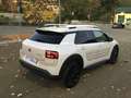 Citroen C4 Cactus 1.6 DIESEL 100 CV SHINE  COME NUOVA Bianco - thumbnail 6