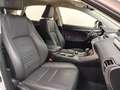 Lexus NX 300 300H EXECUTIVE TECNO NAVIBOX 2.5 HYBRID 197 CV 4WD White - thumbnail 14