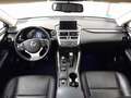 Lexus NX 300 300H EXECUTIVE TECNO NAVIBOX 2.5 HYBRID 197 CV 4WD Wit - thumbnail 3