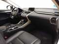 Lexus NX 300 300H EXECUTIVE TECNO NAVIBOX 2.5 HYBRID 197 CV 4WD Biały - thumbnail 13