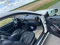 Mercedes-Benz CLK 280 Neues Pickerl (Öamtc) Elegance Sport Aut. Blanc - thumbnail 7