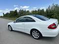 Mercedes-Benz CLK 280 Neues Pickerl (Öamtc) Elegance Sport Aut. Blanc - thumbnail 3