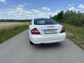 Mercedes-Benz CLK 280 Neues Pickerl (Öamtc) Elegance Sport Aut. Blanc - thumbnail 2
