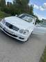 Mercedes-Benz CLK 280 Neues Pickerl (Öamtc) Elegance Sport Aut. Blanc - thumbnail 4