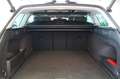 Volkswagen Passat Alltrack DCC Matrix Memory STHZ 360° Pano Weiß - thumbnail 11