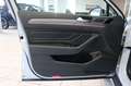 Volkswagen Passat Alltrack DCC Matrix Memory STHZ 360° Pano Weiß - thumbnail 14