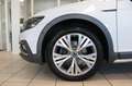 Volkswagen Passat Alltrack DCC Matrix Memory STHZ 360° Pano Weiß - thumbnail 4