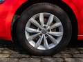 Volkswagen Polo Highline 1.0TSI DSG Navi LED Climatronic EP Rot - thumbnail 7