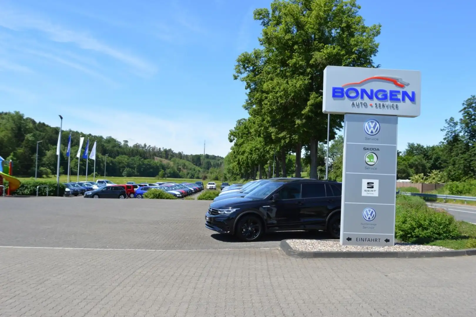 Ford EcoSport 1.0 ST-Line Navi Xenon beh. Frontscheibe Klima Gris - 2