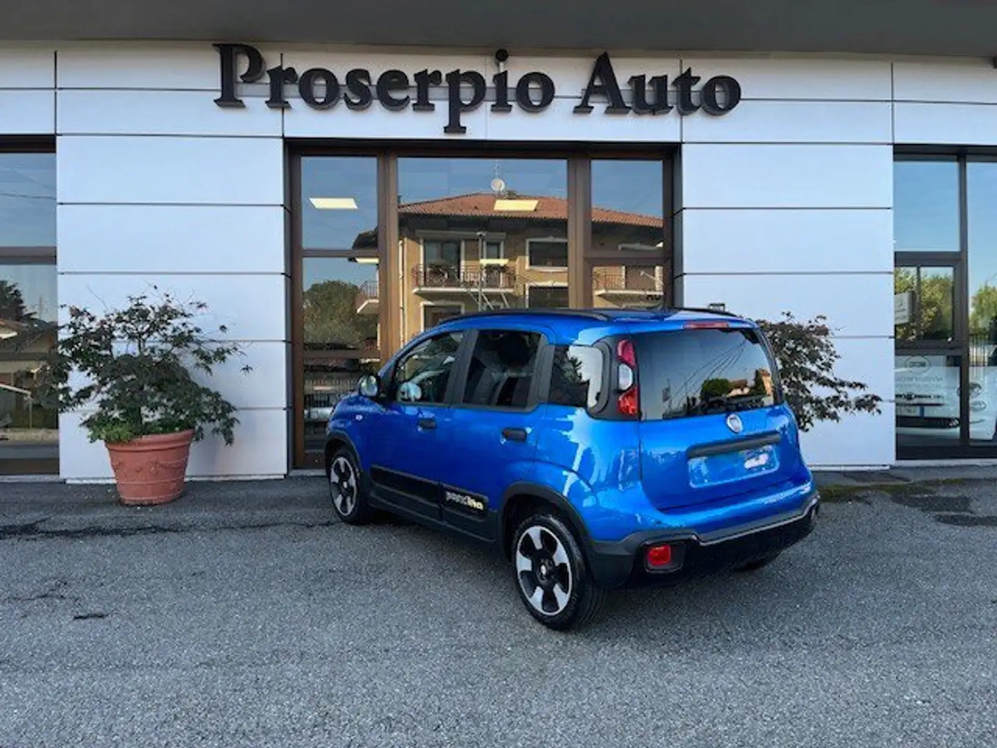 Fiat Panda Panda Cross 1.0 FireFly S&S Hybrid Blu/Azzurro - 2