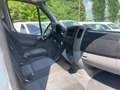 Volkswagen Crafter 140 TDI - PULMINO 9 POSTI Bianco - thumbnail 8