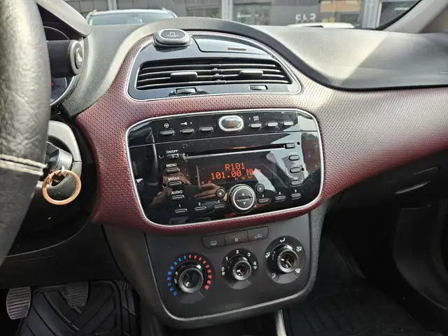Fiat Punto Evo view 13