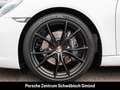 Porsche 991 911 Carrera Cabriolet BOSE Sportabgasanlage Weiß - thumbnail 13