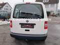 Volkswagen Caddy Kasten/Kombi 4Motion *STHZ*AHK*1/HAND* Weiß - thumbnail 8