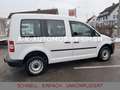 Volkswagen Caddy Kasten/Kombi 4Motion *STHZ*AHK*1/HAND* Weiß - thumbnail 5